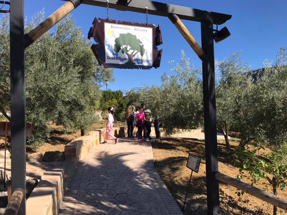 Excursiones escolares colegios de malaga