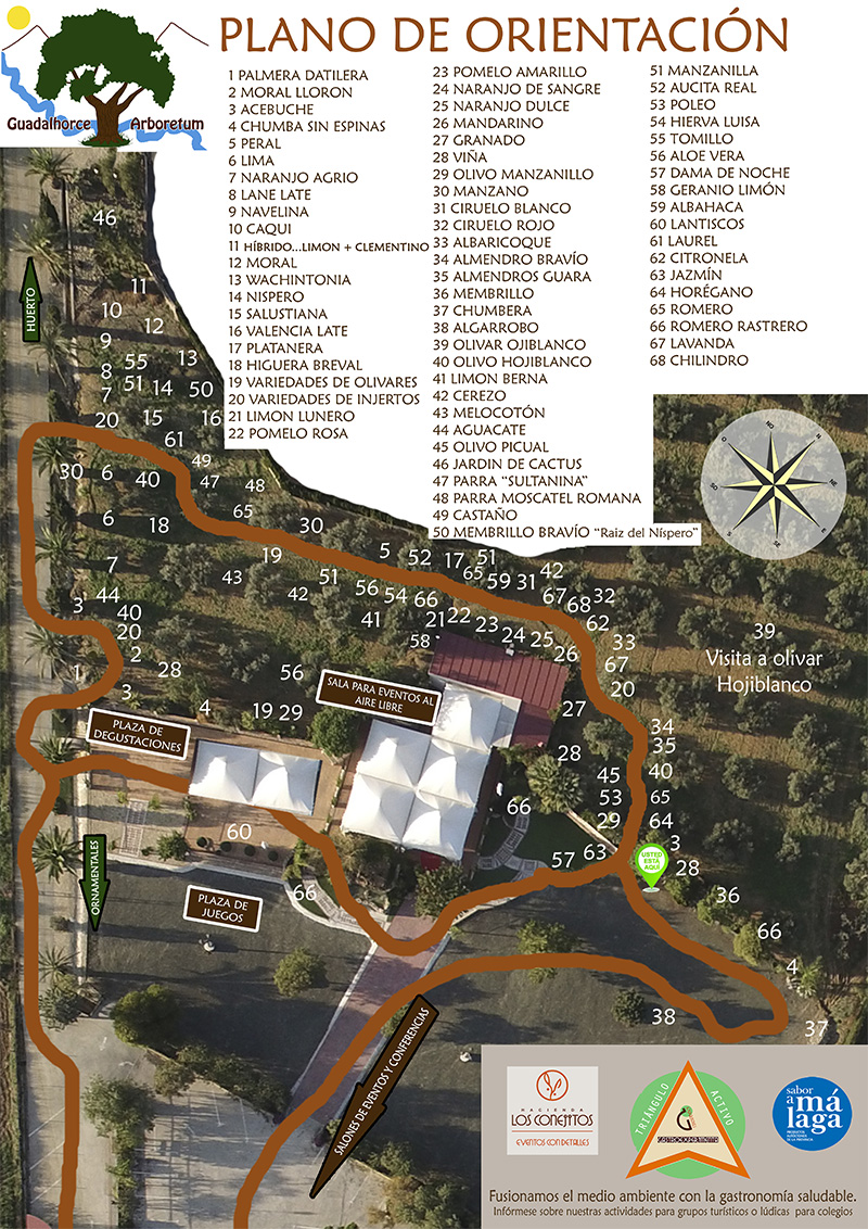 distribucion-de-arboles-guadalhorce-arboretum