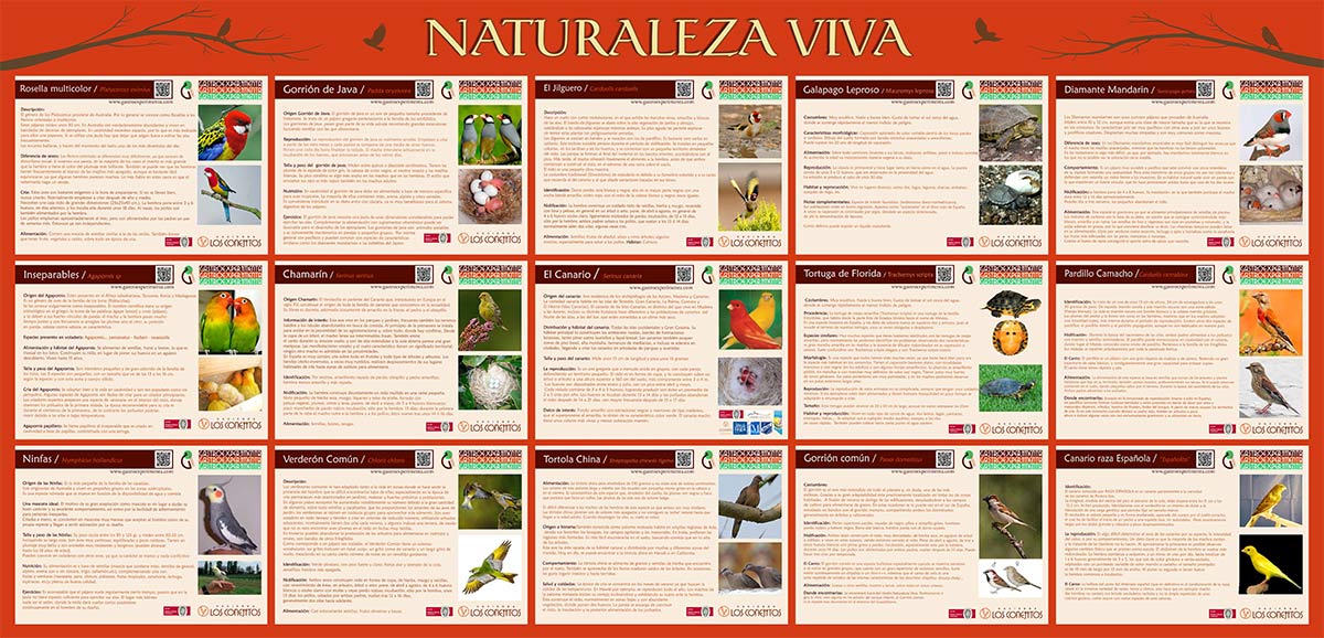 Naturaleza-Viva-Reducida
