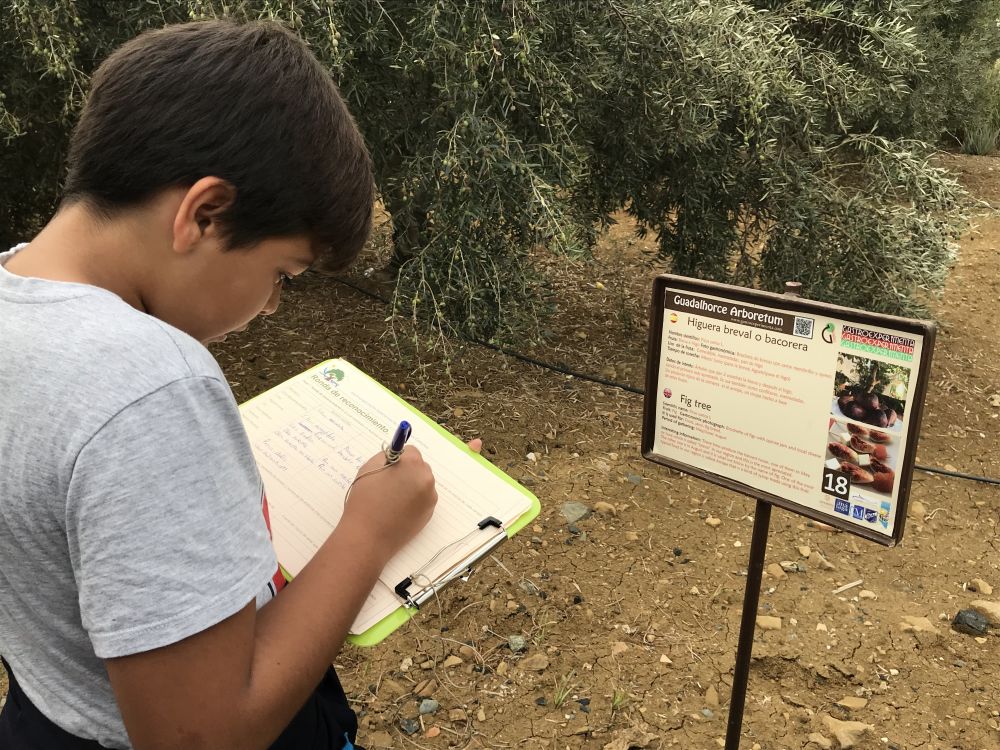 granja escuela en malaga sin animales (11) conocimiento del medio