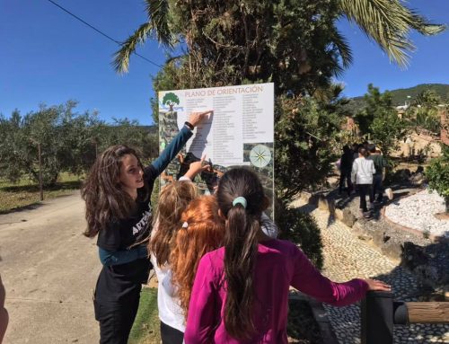 La mejor alternativa a granja escuela en Málaga