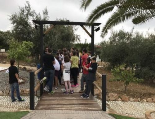 Excursión medioambiental para colegios en Málaga