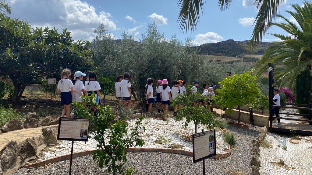 excursuines escolares en malaga