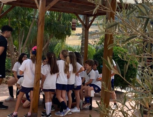 Excursiones escolares en la naturaleza en Málaga