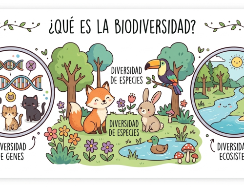 Qué es la biodiversidad para niños: Explicación sencilla