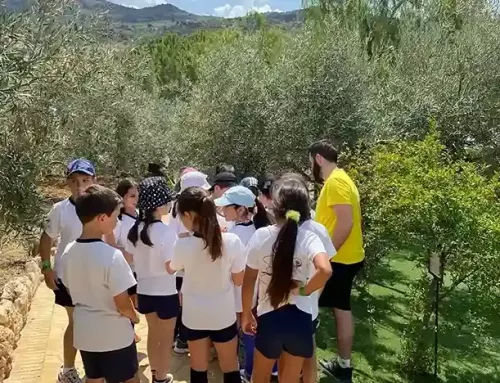 Talleres de medio ambiente en Málaga: Didactic Arboretum