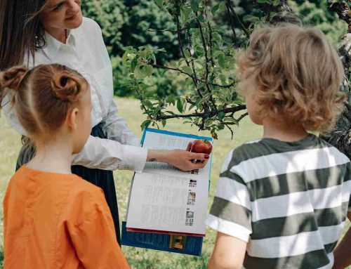 Tipos de plantas en primaria: del libro al juego