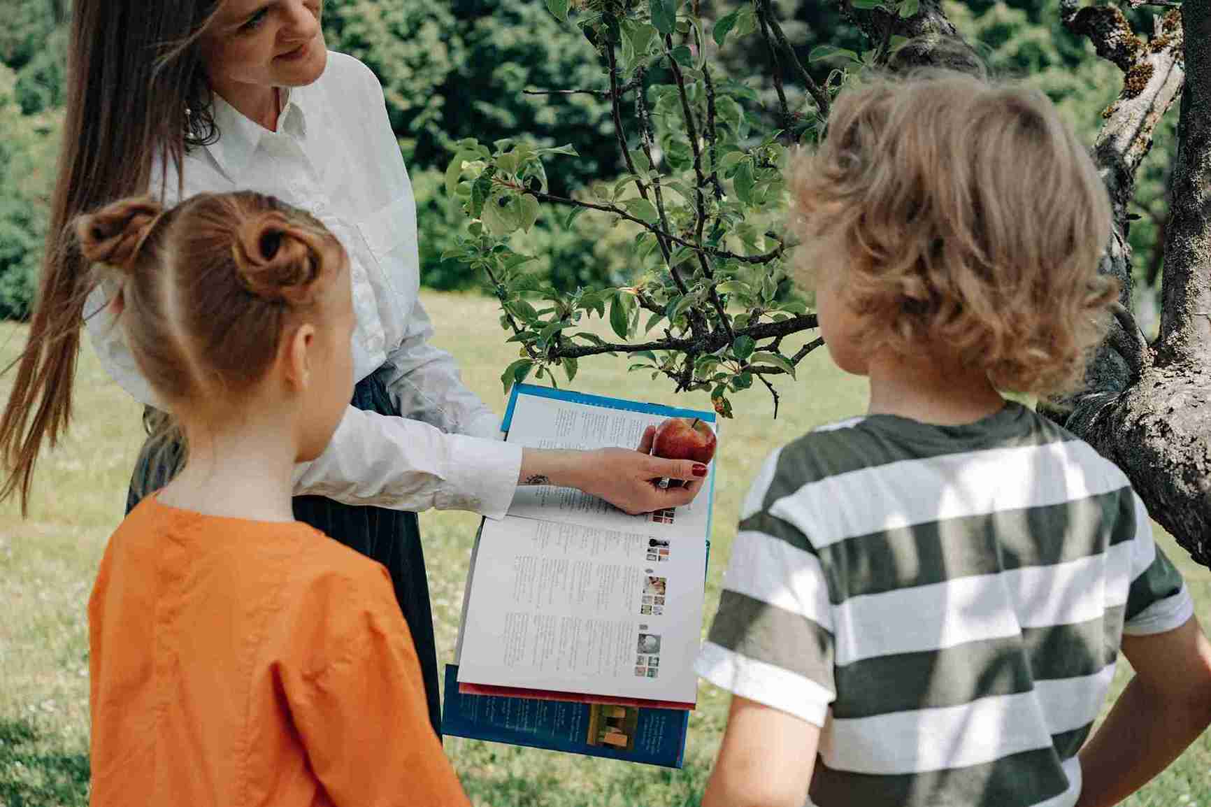 maestra-explicando-a-niños-tipos-de-plantas