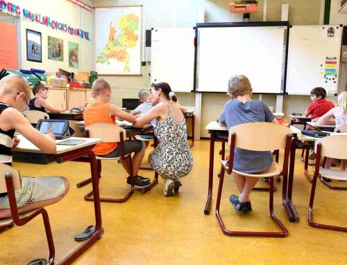 Preparar una excursión escolar en primaria: CLAVES